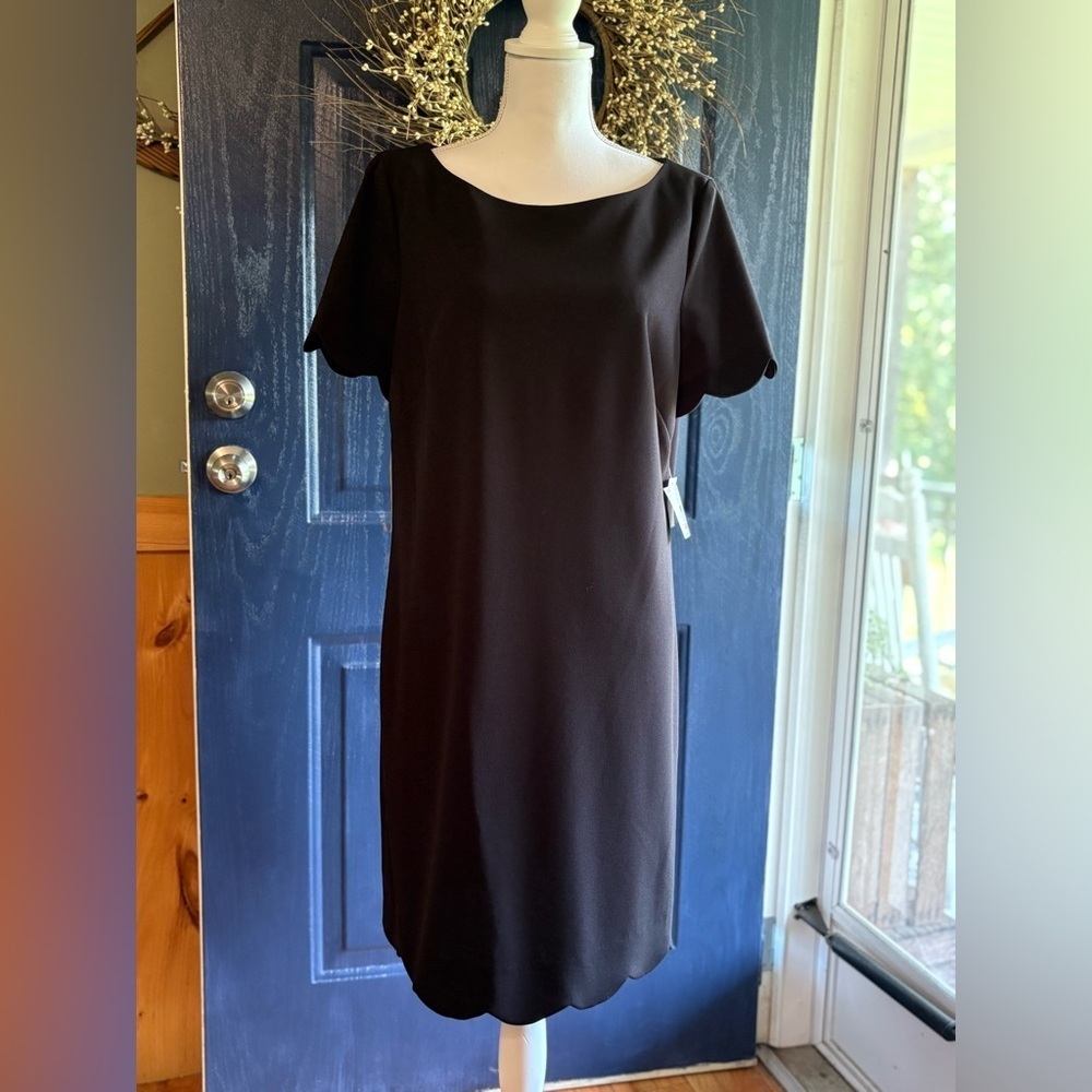 Kasper Classic Black scalloped Midi Dress size 12 NWT